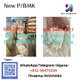 China supplier CAS 1009-14-9 NEW PMK BMK
