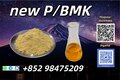 CAS 28578-16-7 Raw Materials precursor High Quality Supply