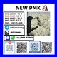 PMK oil CAS28578-16-7 Pmk Ethyl Glycidatei Powder stable supplier