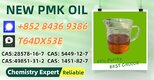 Established Production Base BM.K 5449-12-7 Powder 28578-16-7 P.MK Oil