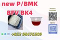 NEW PMK BMK CAS 28578-16-7 Professional Factory Supply