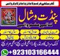+Amilbaba 03103166444 kalajadu kalailam Astrology 03103166444 #Amilbaba in USA