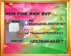 Detailed assessment BMK 5449-12-7 preserved systematically