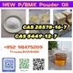 NEW PMK CAS 28578-16-7 BMK CAS 5449-12-7 Fast Delivery Premium High Quality Stable Supply