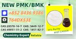 Fast delivery New P.MK BM.K Oil 28578-16-7 5449-12-7 49851-31-2 1451-82-7