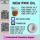 New 5449-12-7 BM.K Powder 28578-16-7 PM.K Oil Doorstep Service