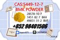Certificated BMK 5449-12-7 Sodium Salt Factory Supply