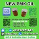 Top-Selling New P.M.K Oil 28578-16-7 Wholesale & Bulk Supply