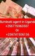 Call Illuminati agent in Uganda call+256776963507/0741506136