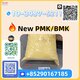 Export Experts Since [Year]  New PMK/BMK Fast Dispatch, Factory Direct