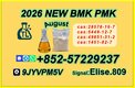 High purity New Product // 28578-16-7 & 5449-12-7