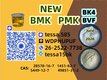 5449-12-7  BMK  International Supply Chain Services Glycidic Acid sodium