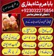amil baba in usa, black magic removal, kala jadu expert amil baba amil baba in uk, love marriage expert,