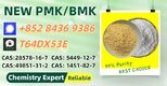 Established Production Base BM.K 5449-12-7 Powder 28578-16-7 P.MK Oil
