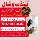 +Amilbaba Powerful Amil baba Kala jadu Pakistan Amil baba in Karachi islamabad03103166444 Amilbaba in USA 03103166444 #Pandi