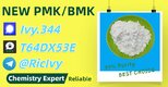 World Trade Vendor BM.K/P.MK Power CAS 5449-12-7 and 28578-16-7
