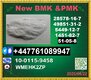 Top learding 51-05-8 Procaine BMK 5449-12-7 & PMK 28578-16-7