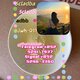 good price addb 5cladba 5cl