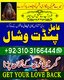 No1 Famous Pandit Hindu Astrologer | Spiritual Healer Worldwide | Online Horoscope Reading | Palm Reading Expert | Tarot Reading