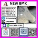 BMK powder Cas5449-12-7 BMK Glycidic Acid (sodium salt) stable supplier
