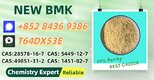 Prime Wholesale Bulk New 5449-12-7 B.MK Powder 28578-16-7 P.MK