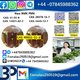 BMK PMK CAS49851-31-2 Chemical raw materials