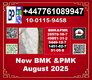 1451-82-7 2-bromo-4-methylpropiophenone +BMK 5449-12-7 & PMK 28578-16-7