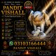 amil baba in usa, black magic removal, kala jadu expert amil baba amil baba in uk, love marriage expert, amil baba in usa, black