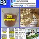 5449-12-7 BMK PMK Chemical raw materials high purity NICE