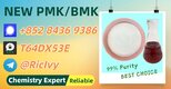 Worldwide Trading Vendor 28578-16-7 Powder 5449-12-7 P.MK Oil