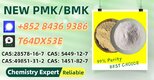 Well-Established Factory Supply P.MK 28578-16-7 With B.MK 5449-12-7