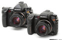 SONY a 700, 850 alebo 900