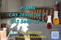 CAS 28578-16-7 high-quality secure delivery services