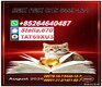 28578-16-7 promotes BM.K 5449-12-7 distribution channels 