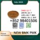 cas 5449-12-7 and 28578-16-7 BMK PMK chemical materials