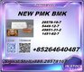 Sell 28578-16-7 Pm.k and cas 5449-12-7 Bm.k /49851-31-2