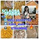 5CLADBA China supplier 5CL-ADB-A adbb 5fadb 5cladb