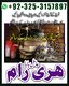Amil baba no1 uk | amil baba karachi | +923253157897