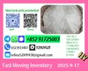 5449-12-7 BMK Glycidic Acid (sodium salt) 99% Powder