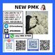 PMK powder cas 28578-16-7 Pmk Ethyl Glycidatei Powder stable supplier