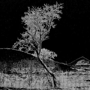 mrazivá krajina