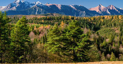 Tatry