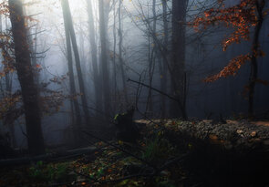 lesná_2023