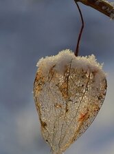 Snehový lampáš II