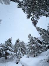 Mobilofka z prechádzky