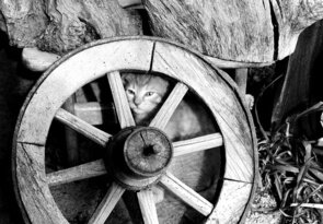 tu ma určite nikto nenájde