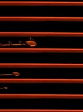 keď sa foto stáva hrou, alebo...