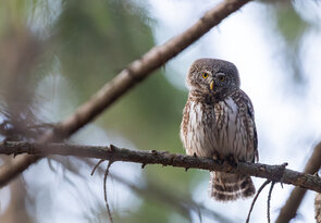 • Cesta je cieľ •