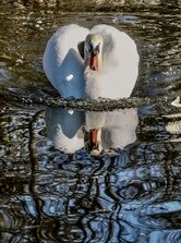 nas(štval) som ho…