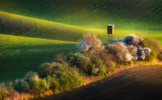 Moravské Toskánsko